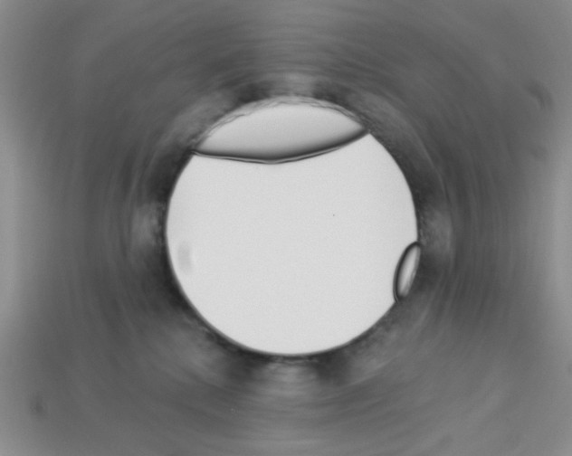 X0000112960280200910081052