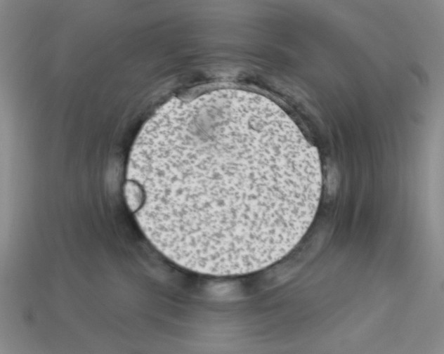 X0000112960283200910081052