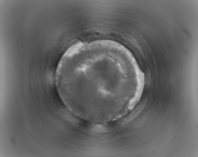 X0000112960285200910081052