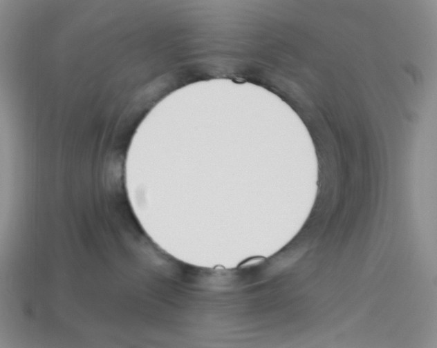 X0000112960288200910081052