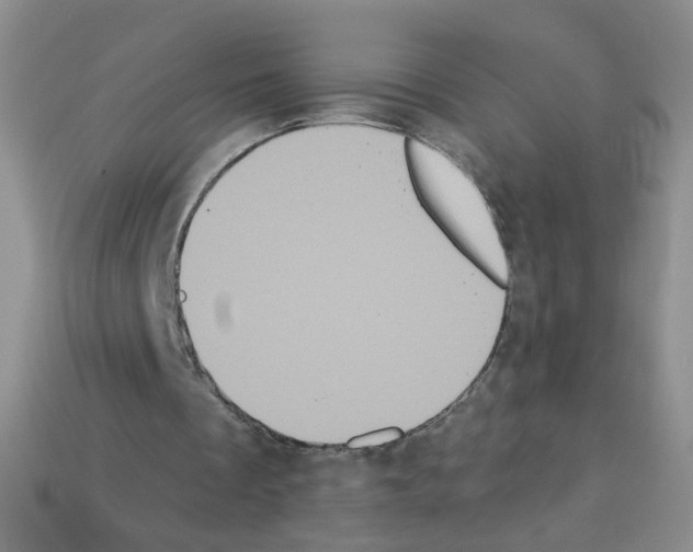 X0000112960289200910081051