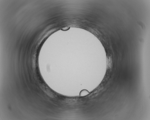 X0000112960291200910081051