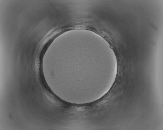 X0000112960295200910081051