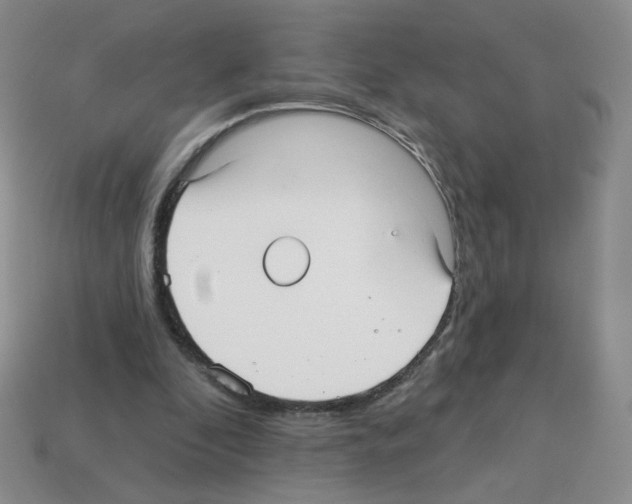 X0000112960296200910081051