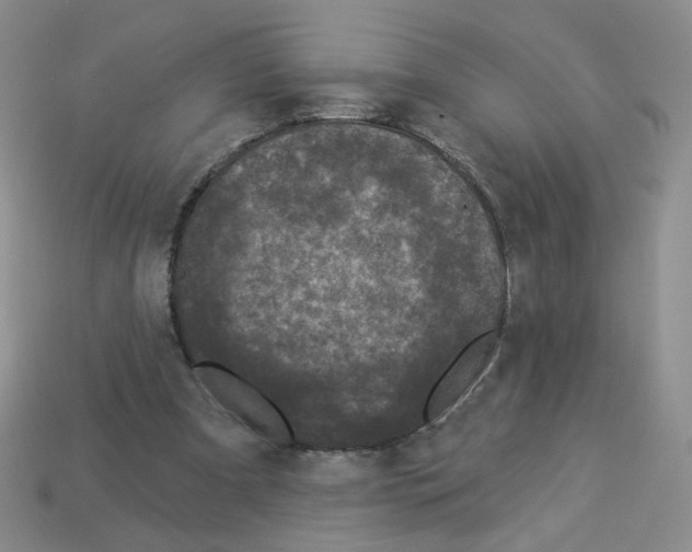 X0000112960297200910081051