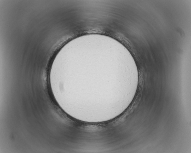 X0000112960298200910081051