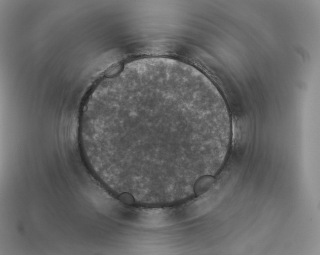 X0000112960301200910081051