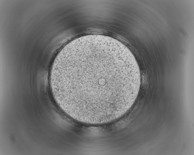 X0000112960302200910081051