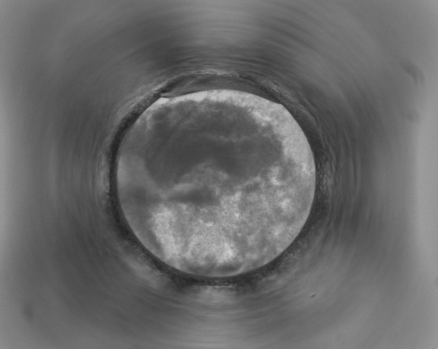 X0000112960303200910081051