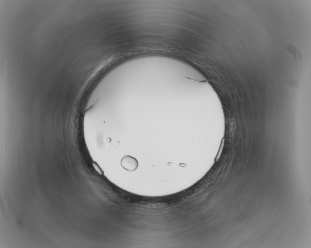 X0000112960304200910081051