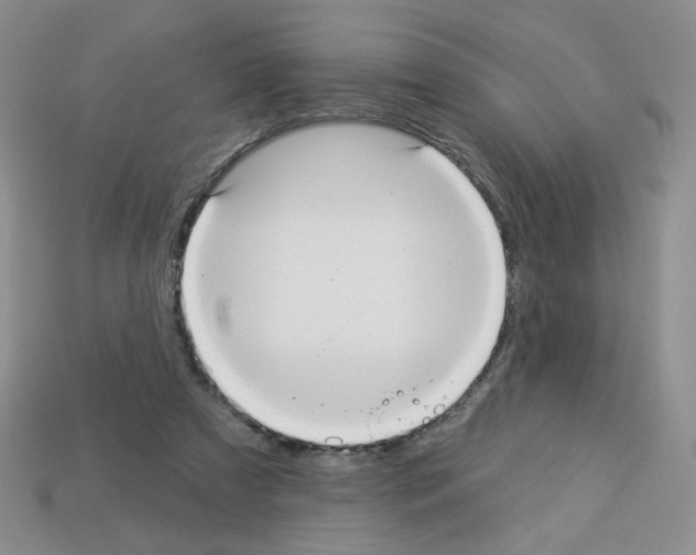 X0000112960305200910081051