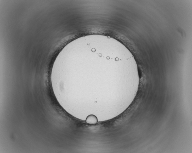 X0000112960306200910081051