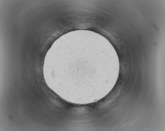 X0000112960307200910081051