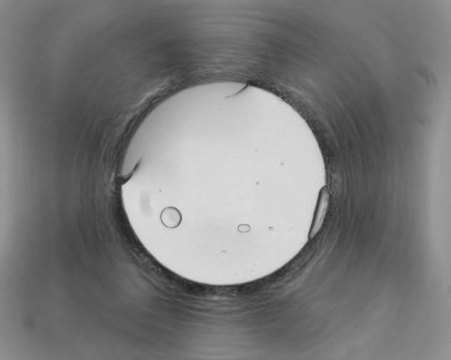 X0000112960308200910081051