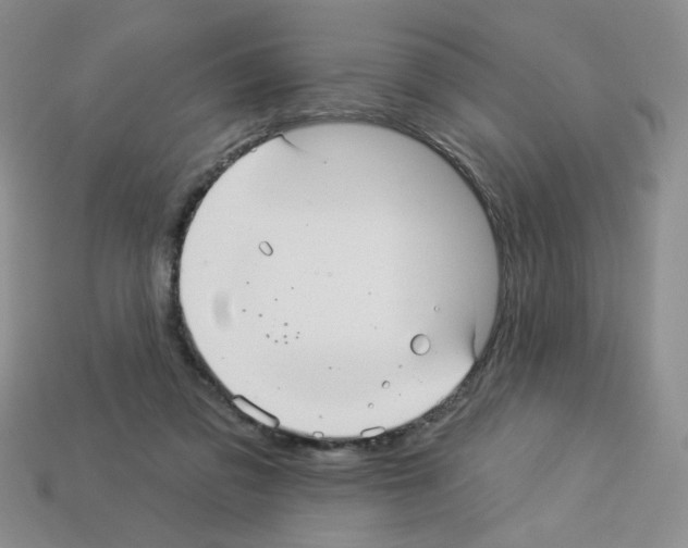 X0000112960309200910081051