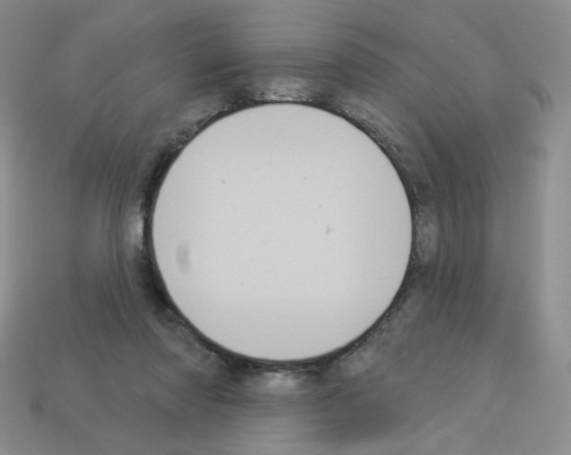 X0000112960310200910081051