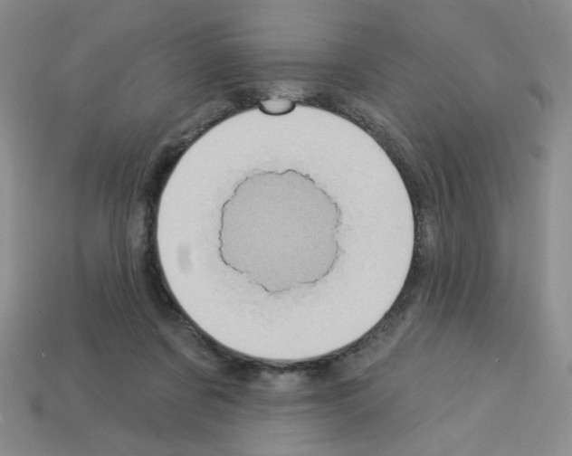 X0000112960311200910081051