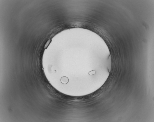 X0000112960312200910081051