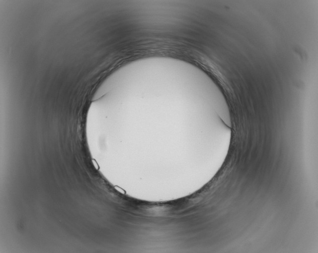 X0000112960313200910081051