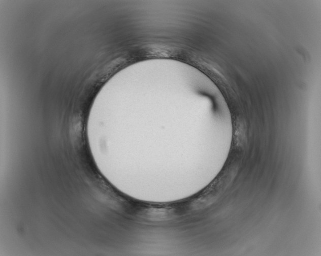 X0000112960314200910081051