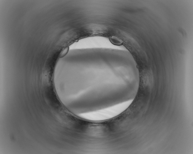 X0000112960316200910081051