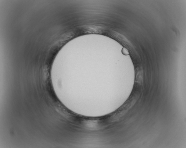 X0000112960318200910081051