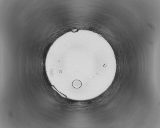 X0000112960320200910081051