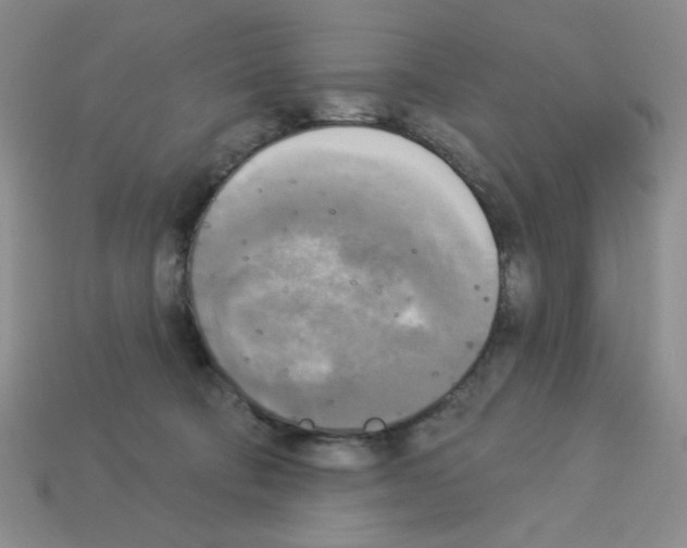 X0000112960322200910081051