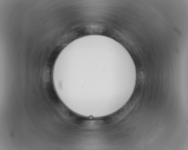 X0000112960323200910081051