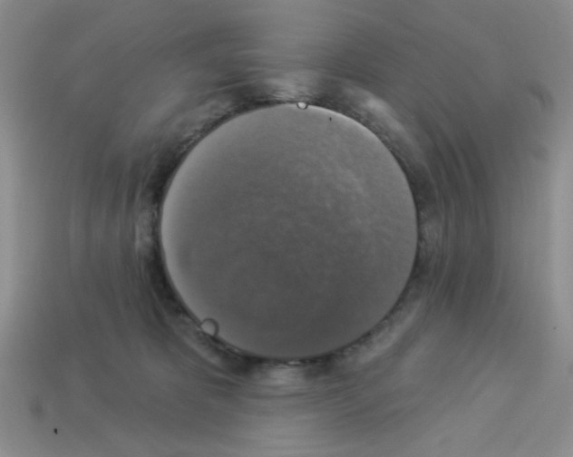 X0000112960325200910081051