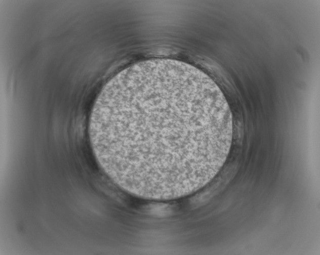 X0000112960326200910081051