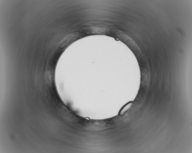 X0000112960329200910081051