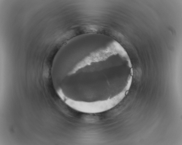 X0000112960331200910081051