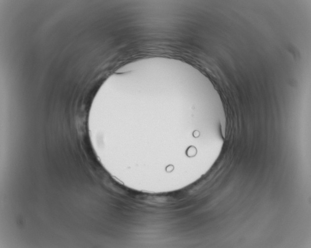 X0000112960332200910081051