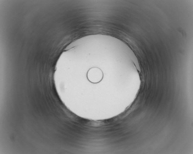 X0000112960333200910081051