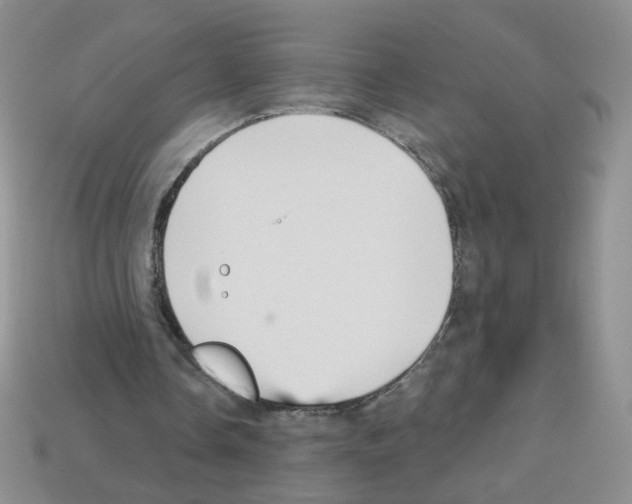 X0000112960338200910081050