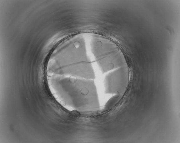 X0000112960339200910081050