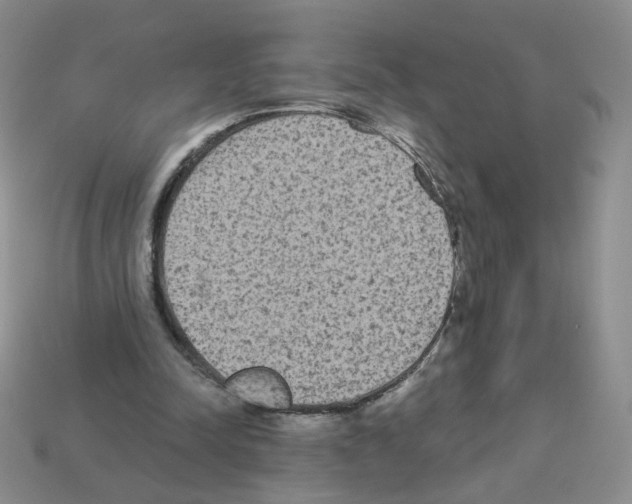 X0000112960342200910081050