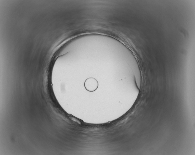 X0000112960344200910081050