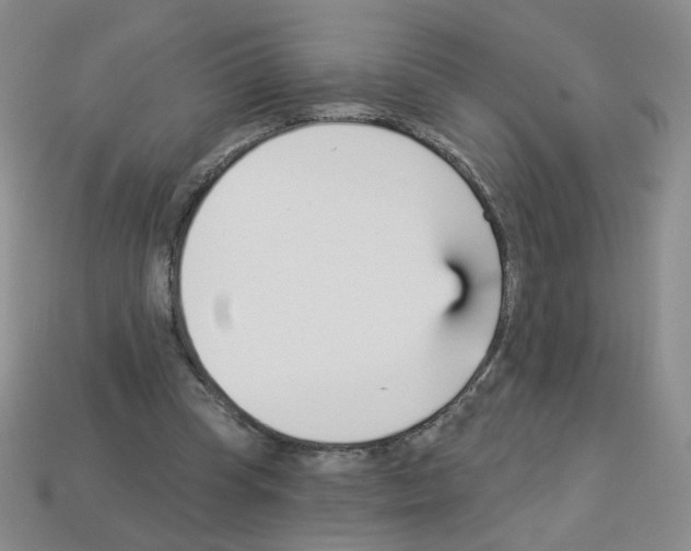 X0000112960345200910081050