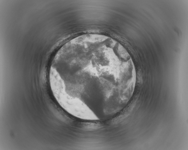 X0000112960347200910081050