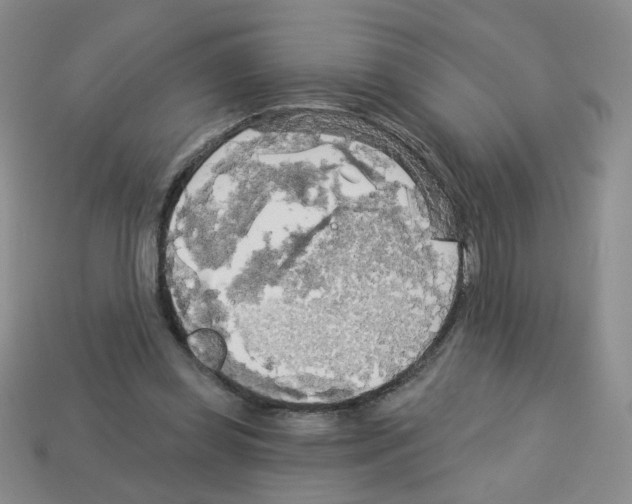 X0000112960349200910081050