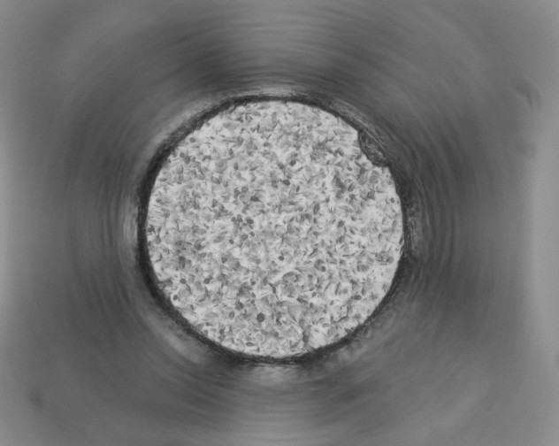 X0000112960350200910081050