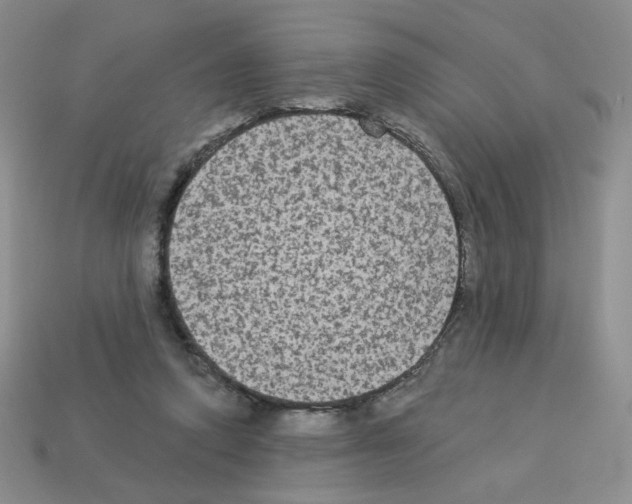 X0000112960354200910081050