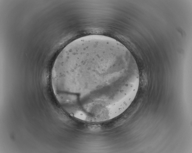 X0000112960355200910081051