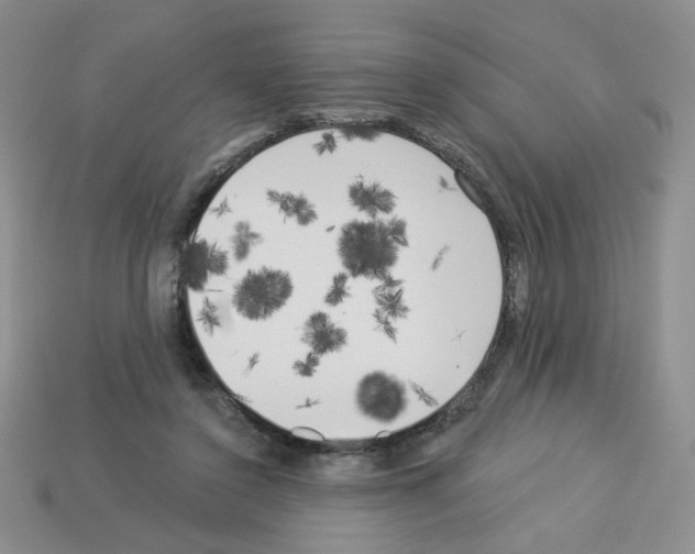 X0000112960356200910081051