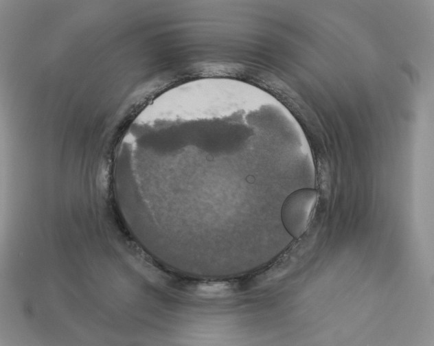 X0000112960357200910081051