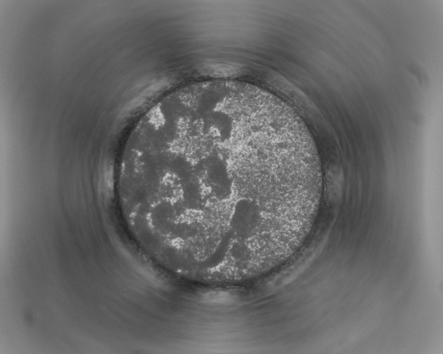 X0000112960358200910081051