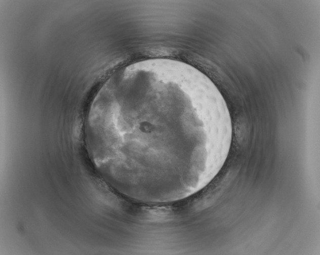 X0000112960359200910081051