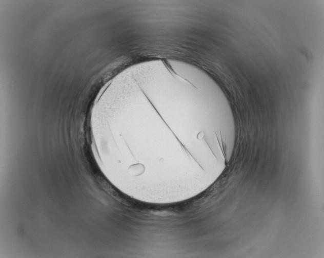 X0000112960360200910081051